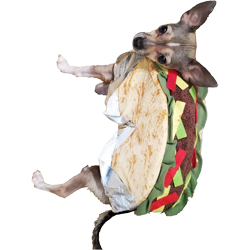 TacoDog 3"x4" Sticker